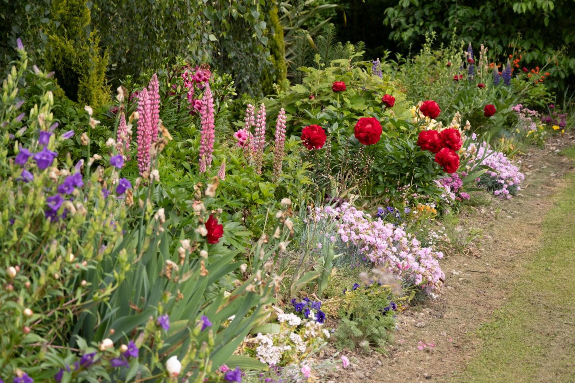 Benger Garden Chalets Millers Flat エクステリア 写真