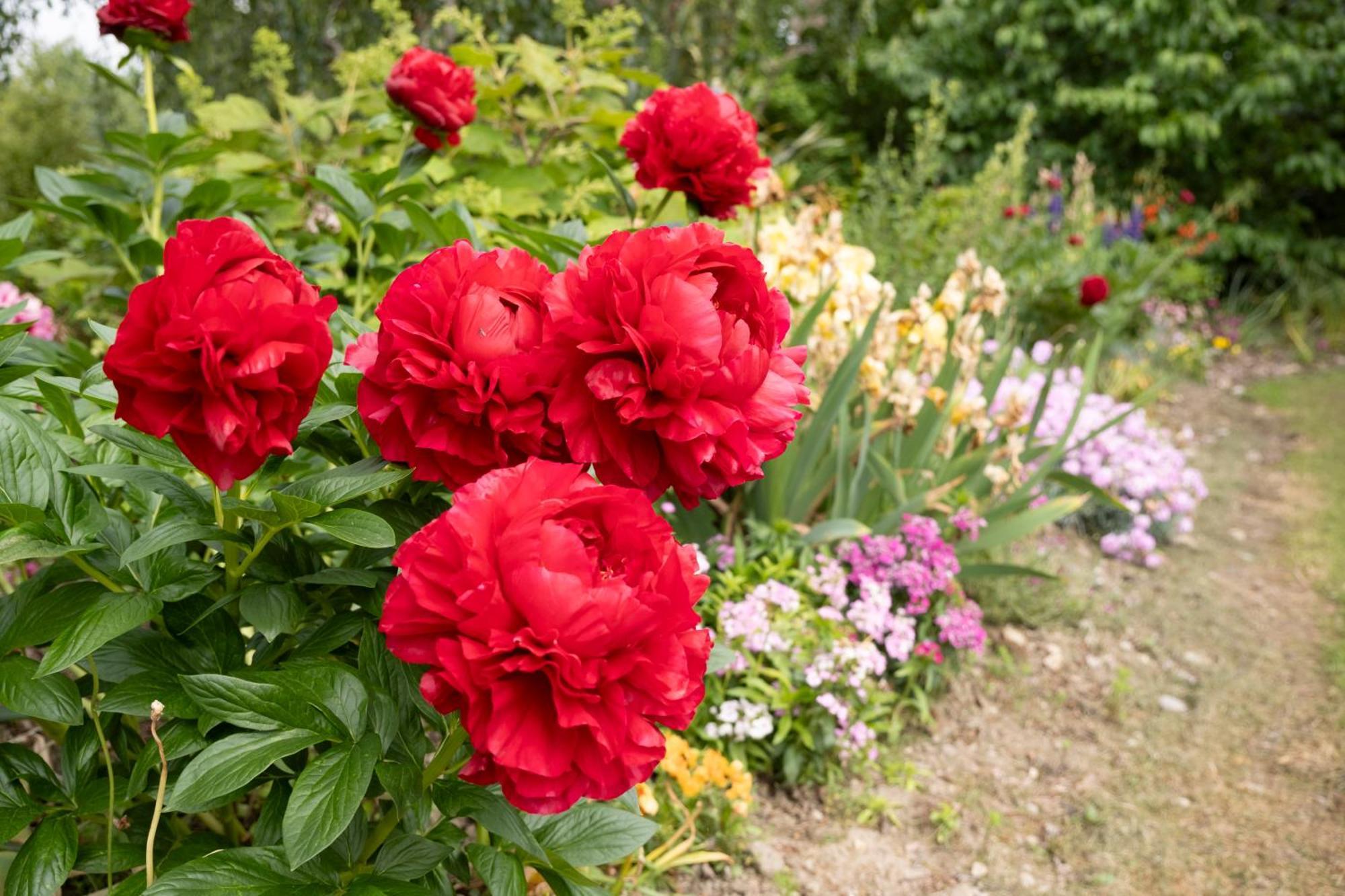 Benger Garden Chalets Millers Flat エクステリア 写真